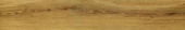 Warm Honey 6X36 | Glens Falls Tile & Supplies