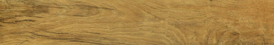 Warm Honey 6X36 | Glens Falls Tile & Supplies