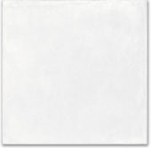 Whitehall Bianco 16x16 | Glens Falls Tile & Supplies