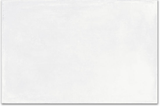 Whitehall Bianco 16x24 | Glens Falls Tile & Supplies