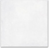 Whitehall Bianco 40x40 | Glens Falls Tile & Supplies