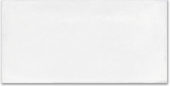 Whitehall Bianco 8x16F | Glens Falls Tile & Supplies