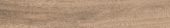 Woodlands 8X48 Nuez | Glens Falls Tile & Supplies