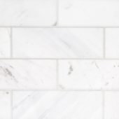 Camellia Field Tile 3” x 9” | Glens Falls Tile & Supplies