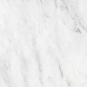 Bianco Venatino 18x18 Honed | Glens Falls Tile & Supplies