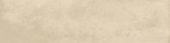 Grand Cayman East End Biscuit 3x12  Bullnose | Glens Falls Tile & Supplies
