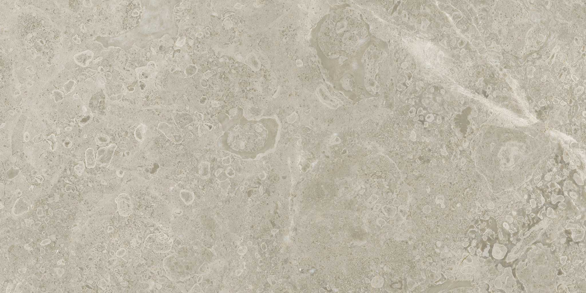 Ritz Gray 12x24