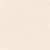 Serene Ivory 24x24 | Glens Falls Tile & Supplies