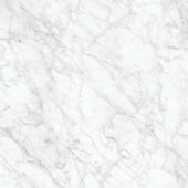 Royal Stoneworks 24X24 Old World Bianco Honed | Glens Falls Tile & Supplies