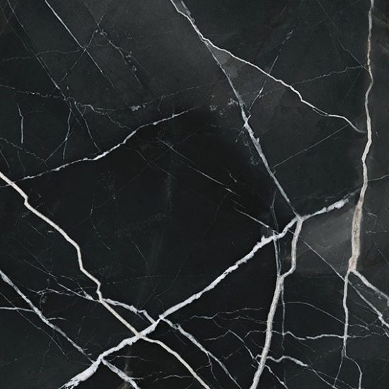 Royal Stoneworks 24X24 Regal Black Vein Polished | Glens Falls Tile & Supplies