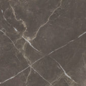 Royal Stoneworks 24X24 Regal Brown Marble Honed | Glens Falls Tile & Supplies
