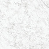 Royal Stoneworks 36X36 Old World Bianco Honed | Glens Falls Tile & Supplies