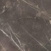 Royal Stoneworks 36X36 Regal Brown Marble Honed | Glens Falls Tile & Supplies