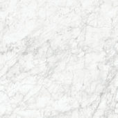 Royal Stoneworks 48X48 Old World Bianco Honed | Glens Falls Tile & Supplies