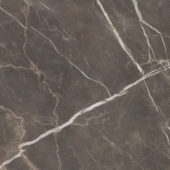 Royal Stoneworks 48X48 Regal Brown Marble Polished | Glens Falls Tile & Supplies