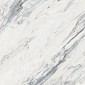 Royal Stoneworks 48X48 Regal White Vein Polished | Glens Falls Tile & Supplies