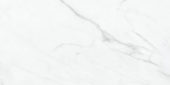 Altezza 12x24 Carrara | Glens Falls Tile & Supplies