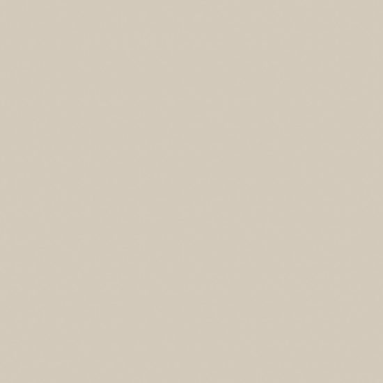 Monoforma 48x48 Oasis Polished | Glens Falls Tile & Supplies