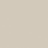 Monoforma 48x48 Oasis Silk | Glens Falls Tile & Supplies