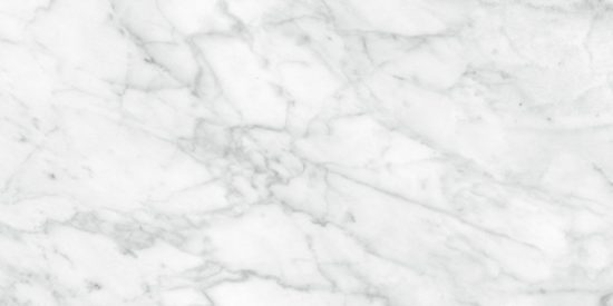 Plata 12x24 Carrara Abisso Polished | Glens Falls Tile & Supplies