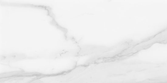 Plata 12x24 Statuario Brina Matte | Glens Falls Tile & Supplies