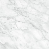 Plata 24x24 Carrara Abisso Polished | Glens Falls Tile & Supplies