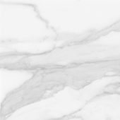 Plata 24x24 Statuario Brina Matte | Glens Falls Tile & Supplies