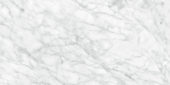 Plata 24x48 Carrara Abisso Matte | Glens Falls Tile & Supplies