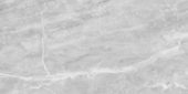 Plata 24x48 Perla Grigia Matte | Glens Falls Tile & Supplies