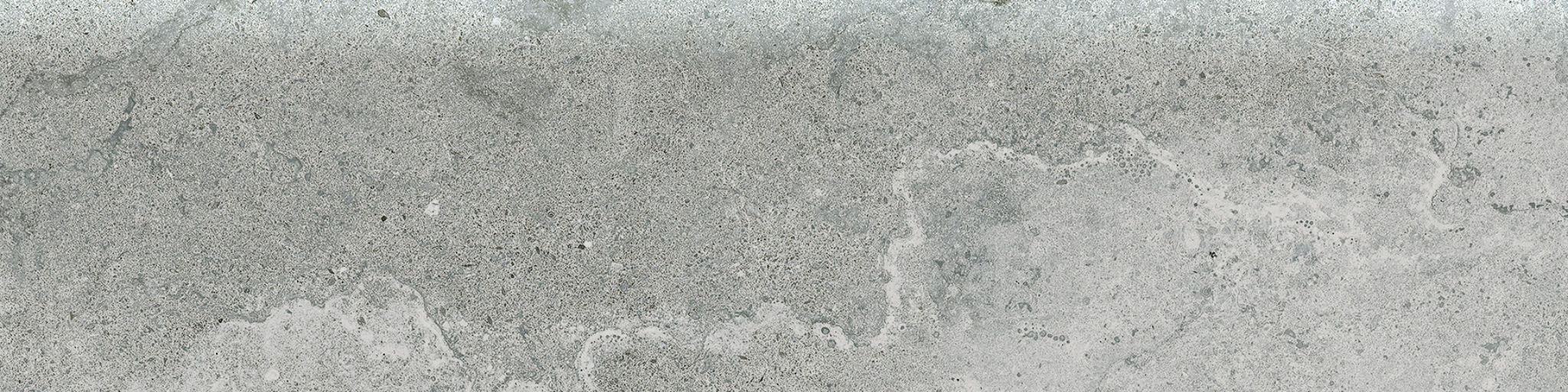 Veneta 3x12 Argento Bullnose | Glens Falls Tile & Supplies