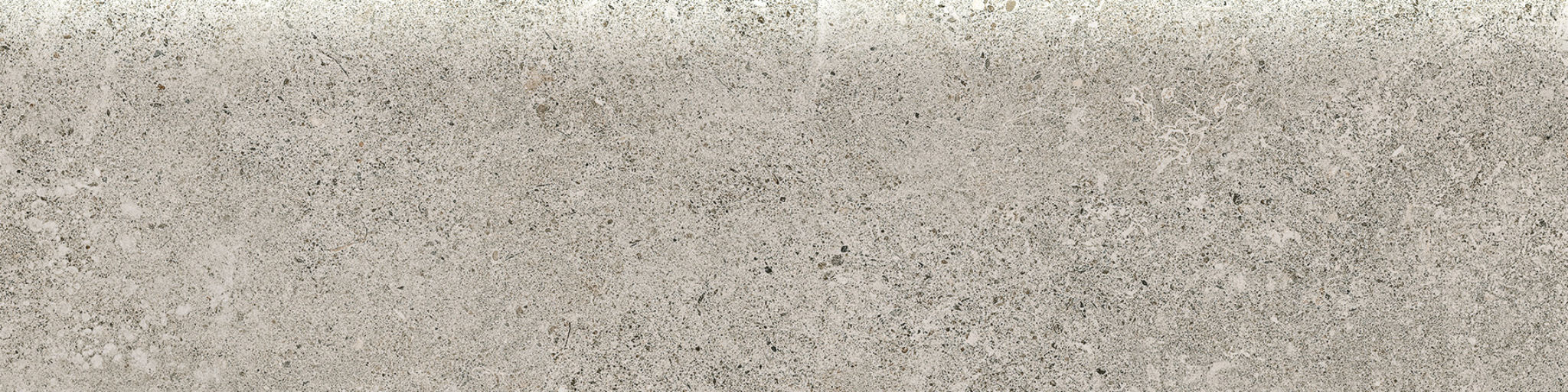 Veneta 3x12 Stormio Bullnose | Glens Falls Tile & Supplies